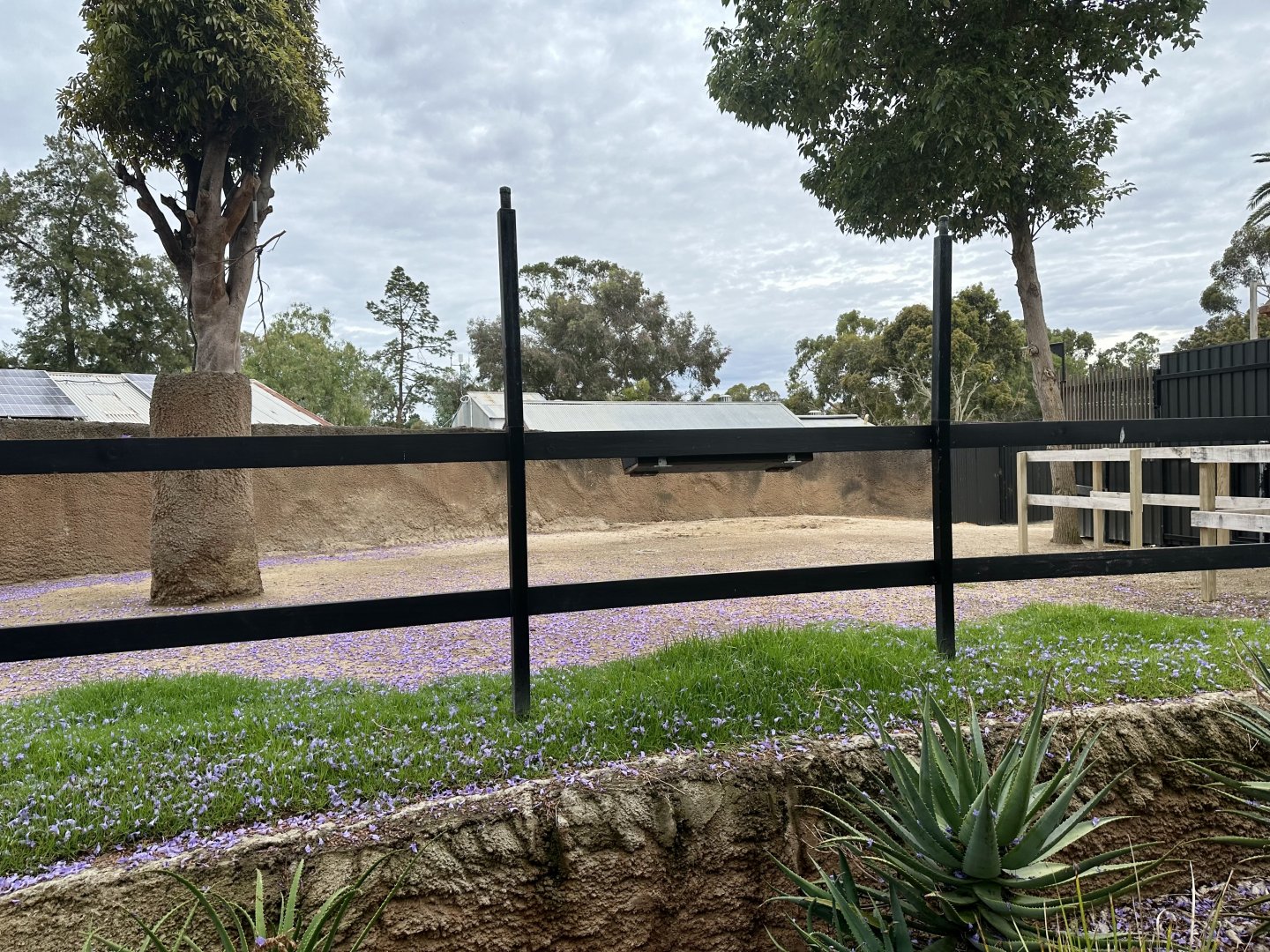 Old Elephant Yard (Giraffe Exhibit)