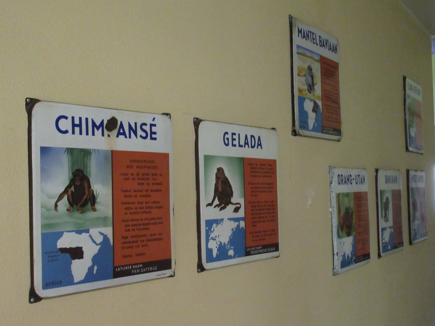 Old enamel zoo signs