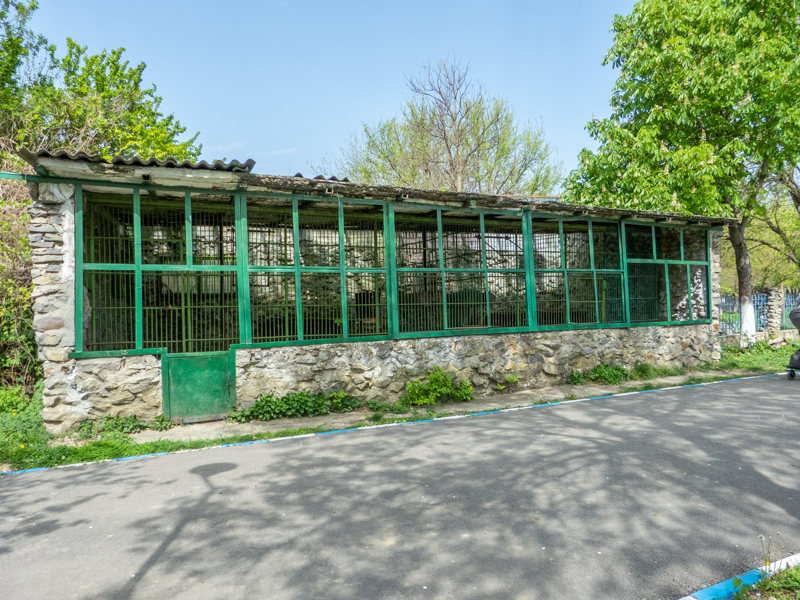 old enclosure - empty