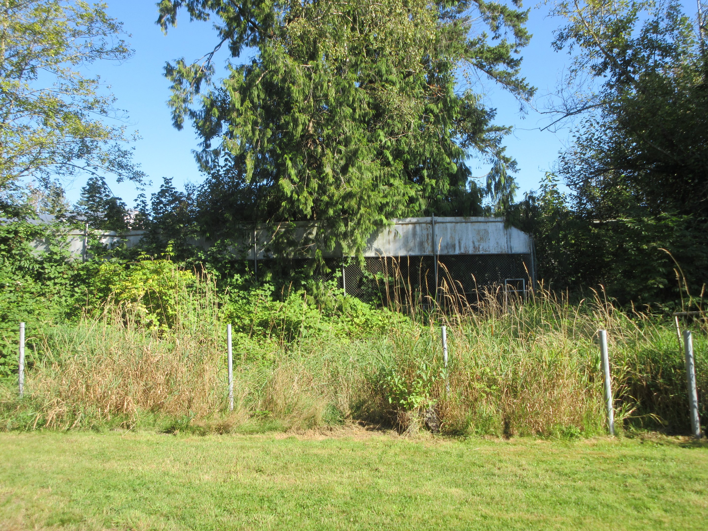 Old Exhibit (Coyote)