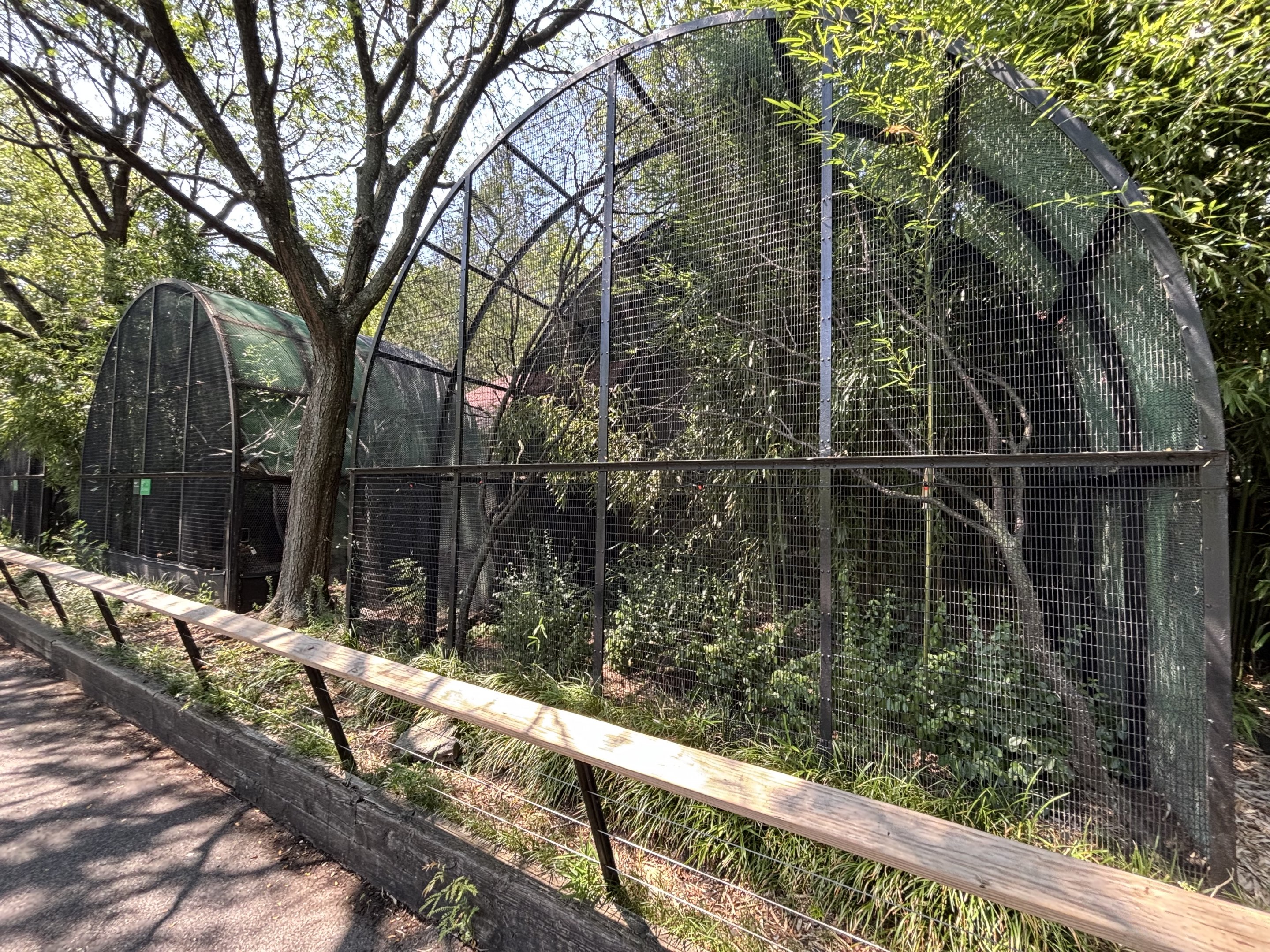 Old Fashioned Monkey Cages