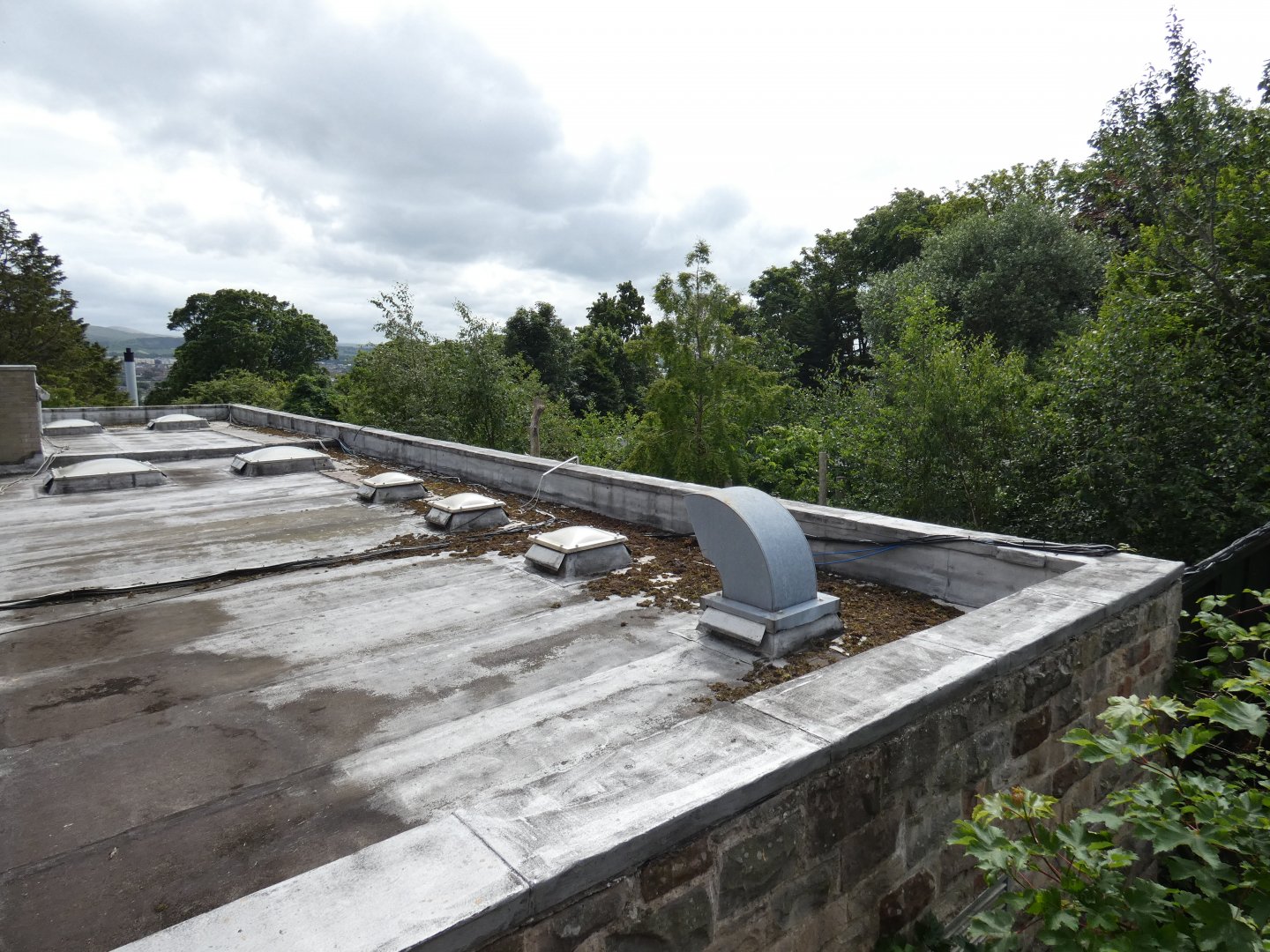 Old Giant panda exhibit