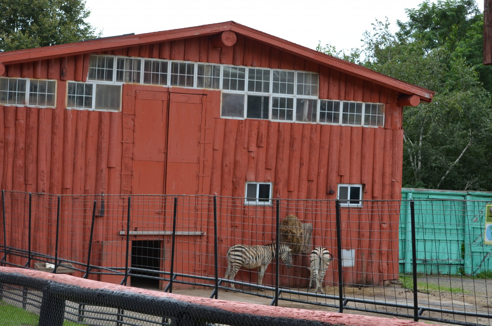 Old Giraffe Barn (Now Grevy's Zebras)