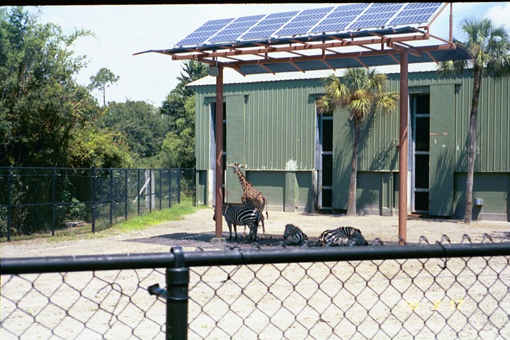 Old Giraffe/Zebra Exhibit