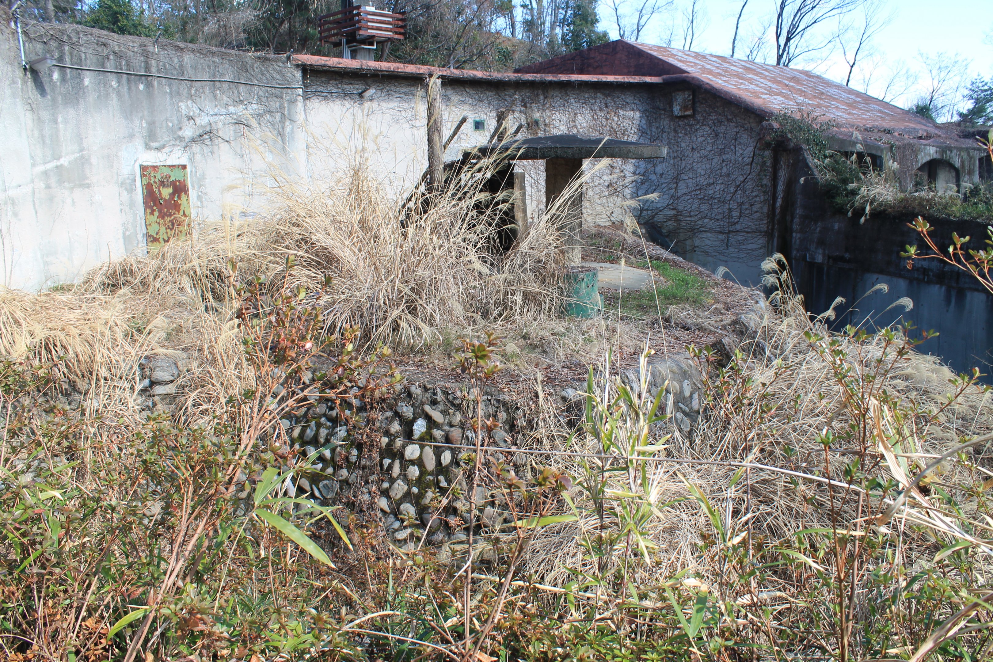 Old Gorilla enclosure