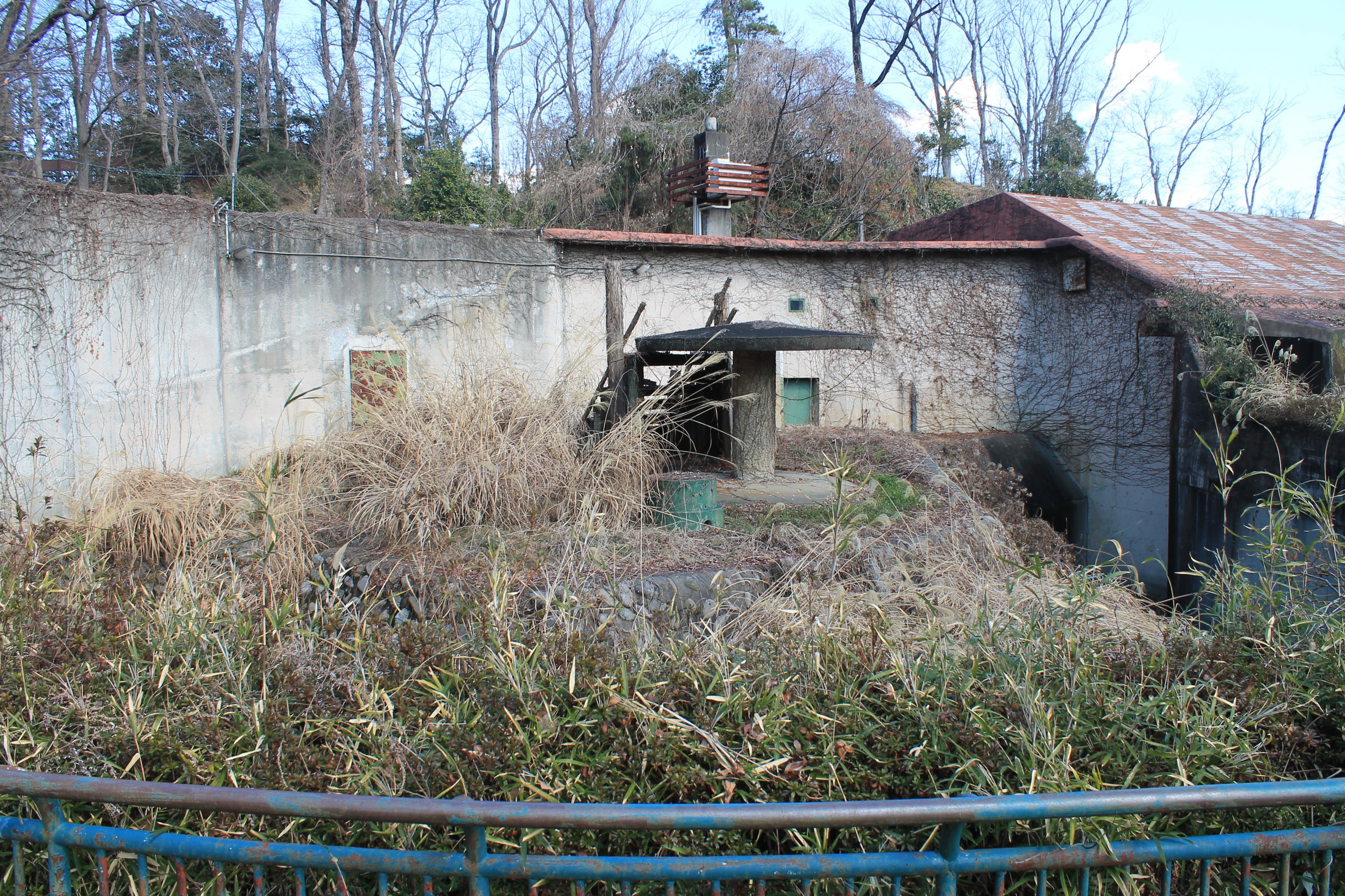 Old Gorilla enclosure