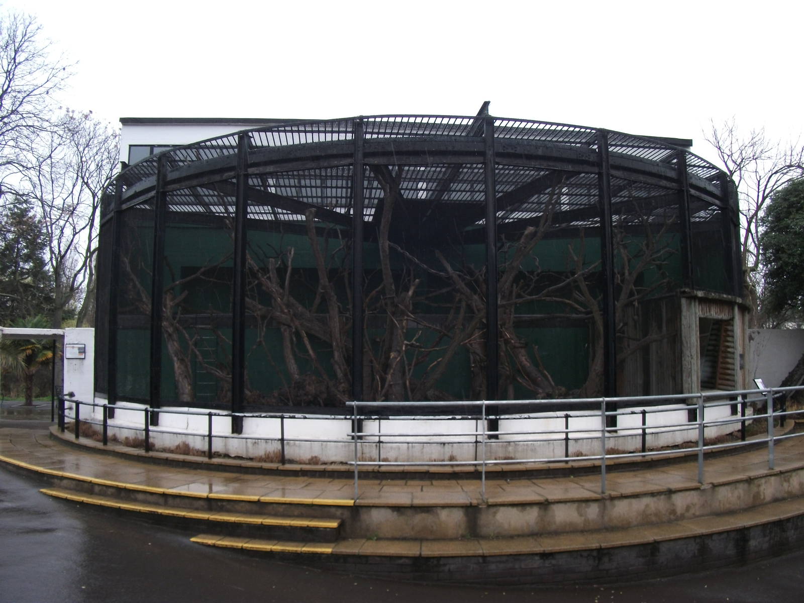 old gorilla house now the lemur house