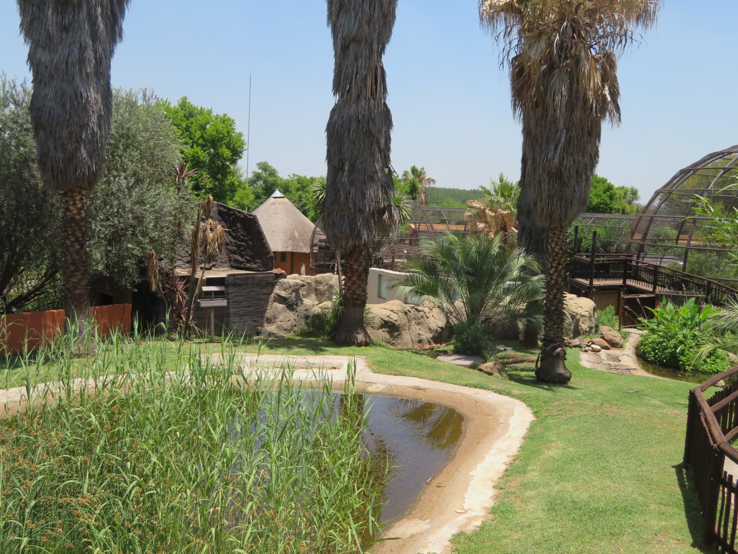 Old greater flamingo exhibit (2020)