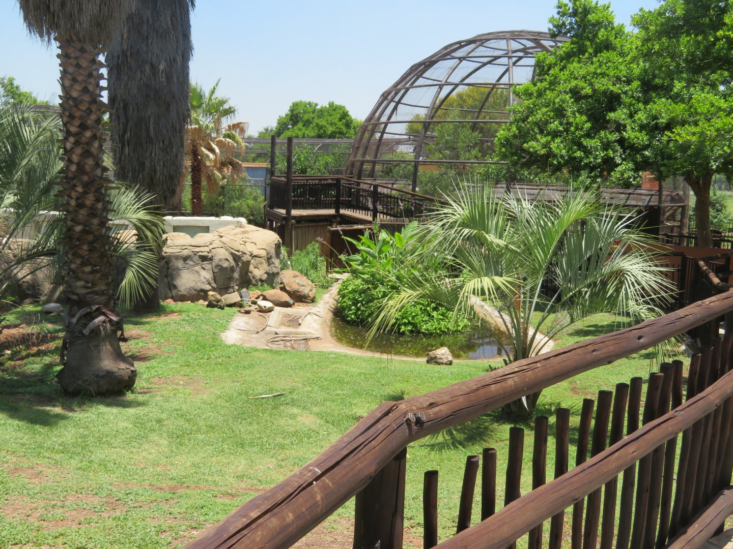 Old greater flamingo exhibit (2020)