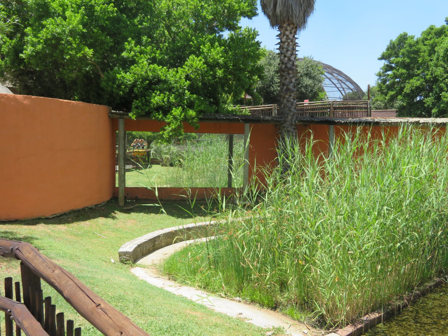 Old greater flamingo exhibit (2020)