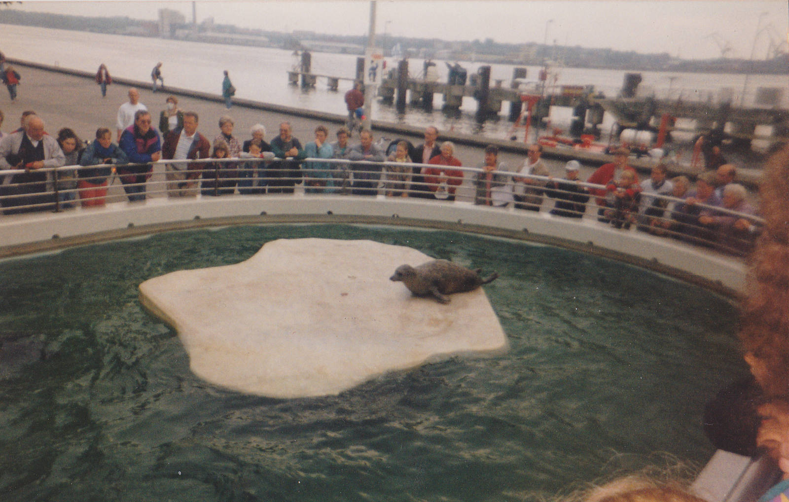 Old Harbour seal enclosure