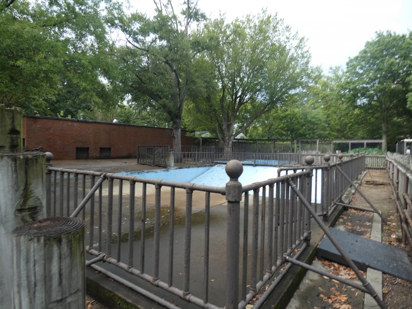 Old Hippo Exhibit, Aug. 2020