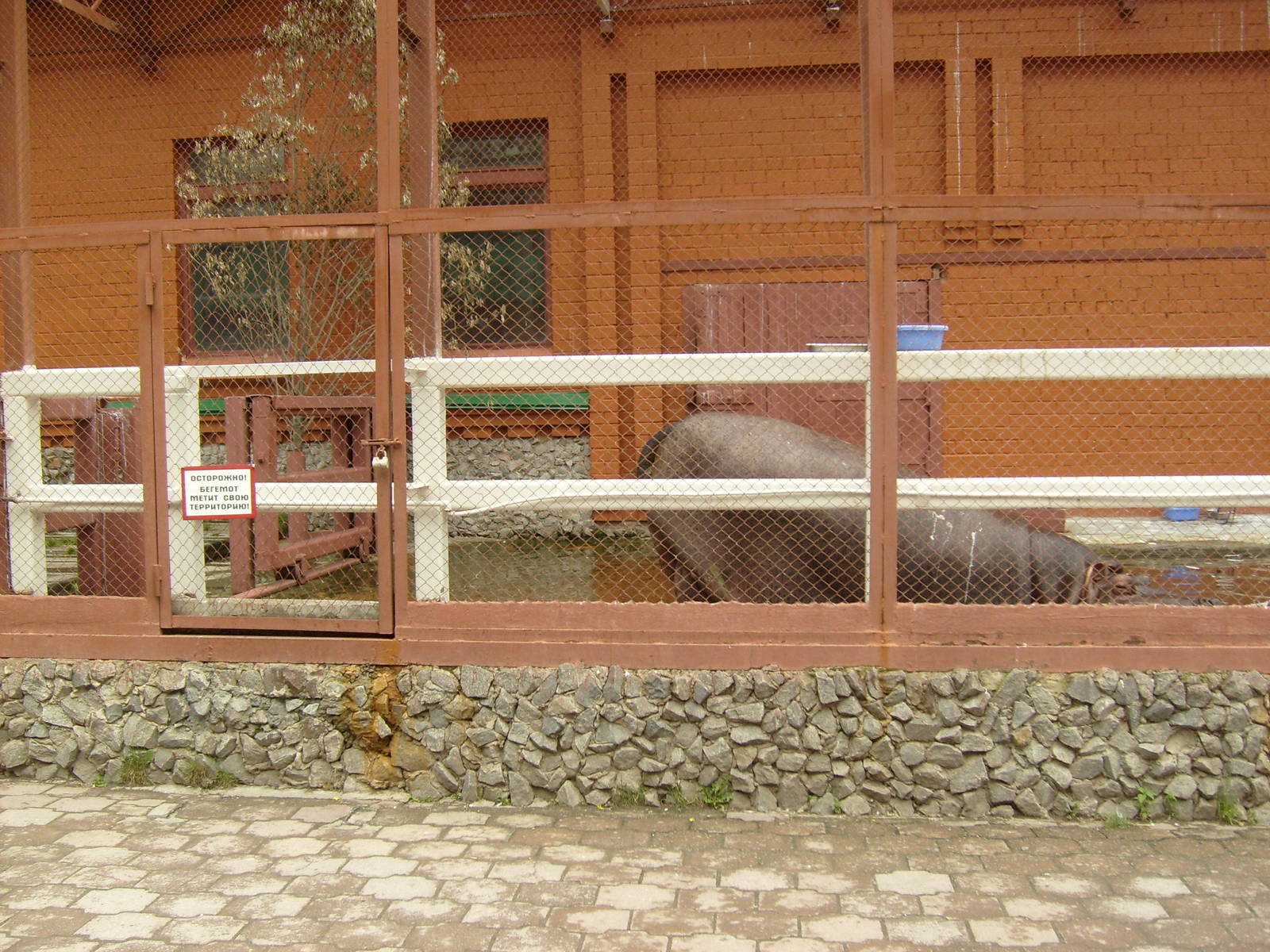 Old hippo exhibit