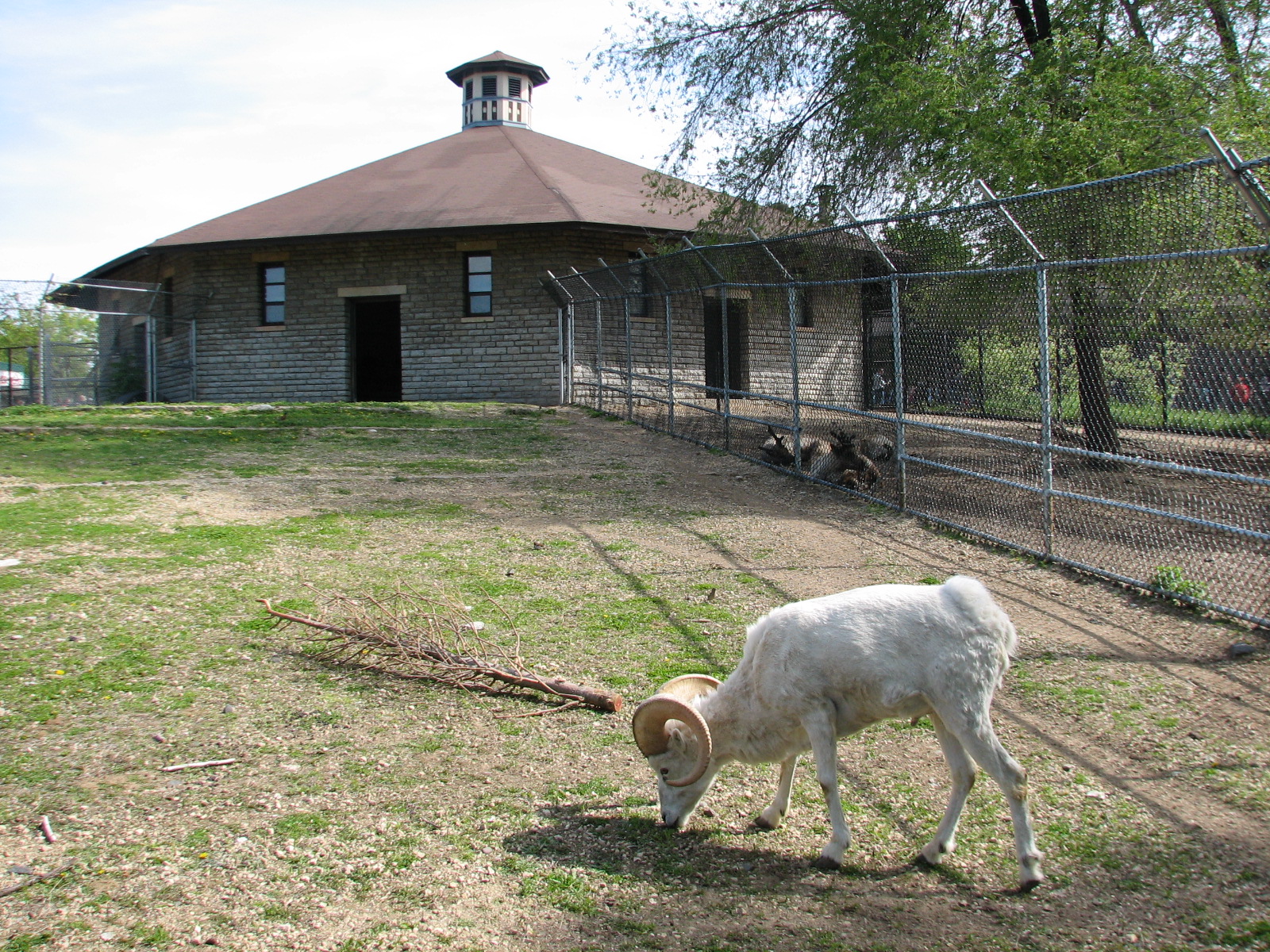 Old Hoofed Stock Barn - Dalls Sheep Exhibit