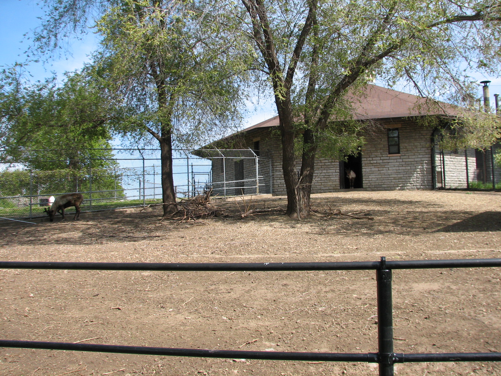 Old Hoofed Stock Barn - Reindeer Exhibit