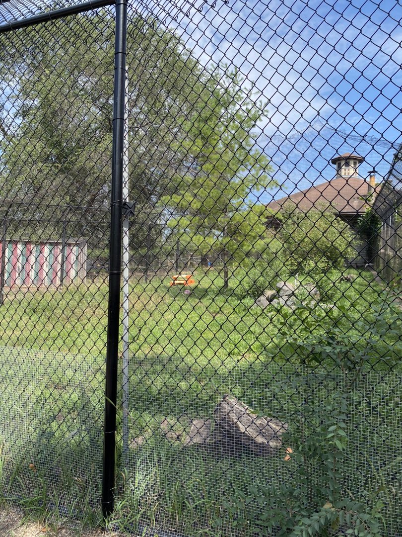 Old hoofstock- arctic fox exhibit