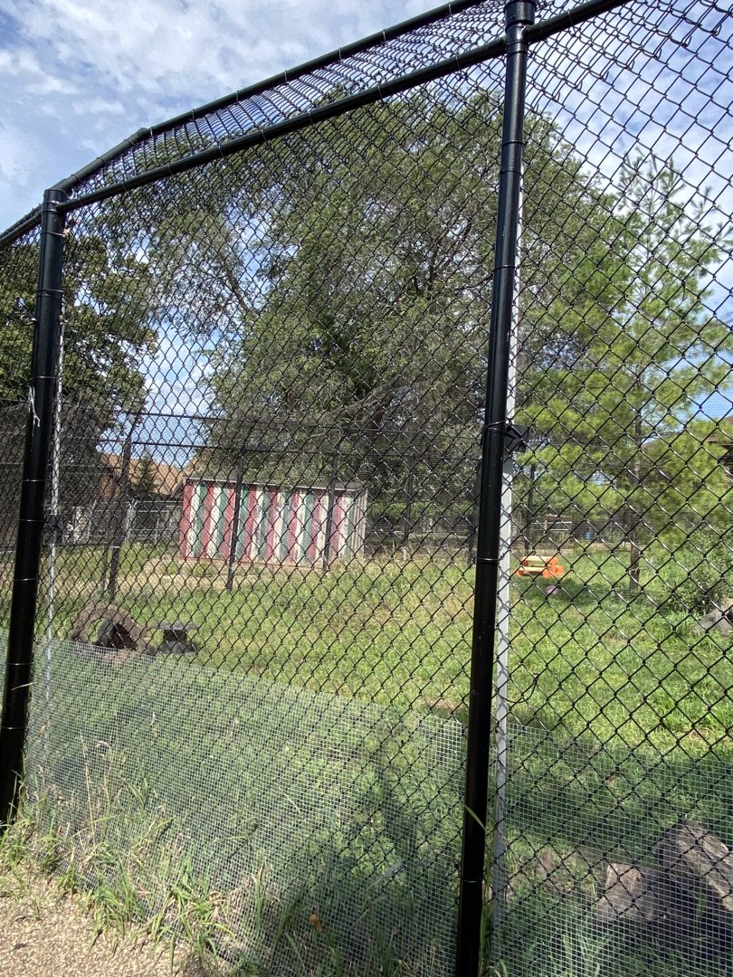Old hoofstock- arctic fox exhibit