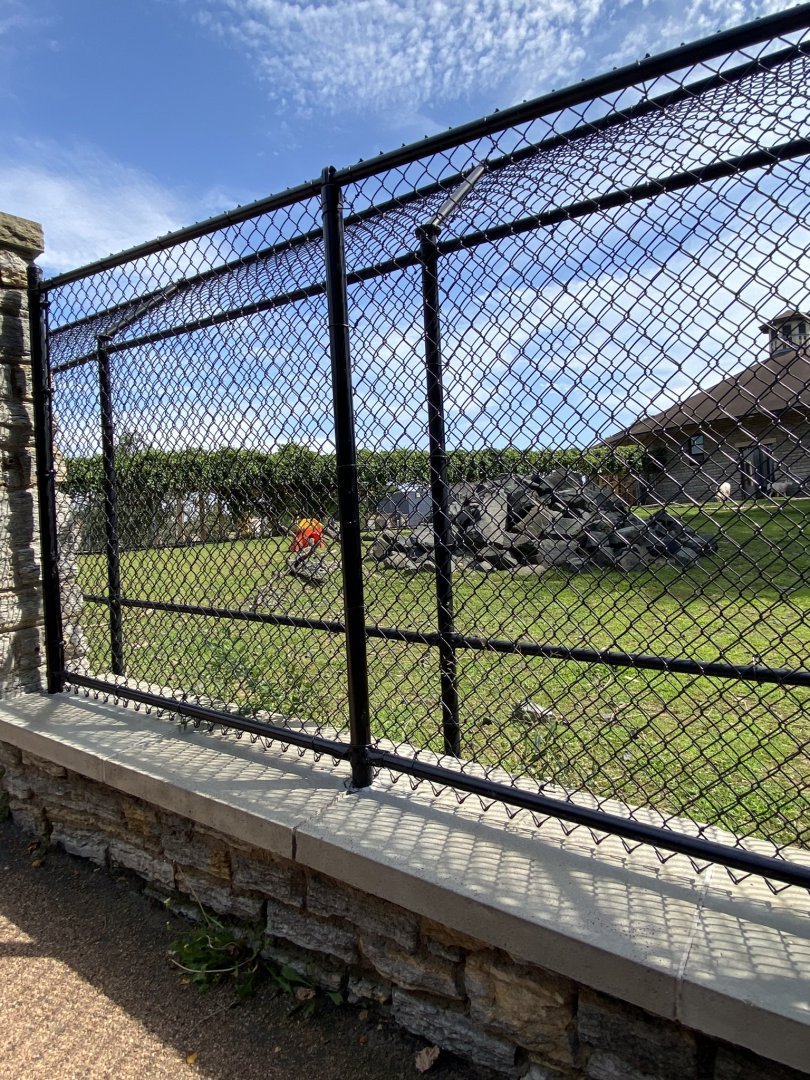 Old hoofstock- Dallas sheep exhibit