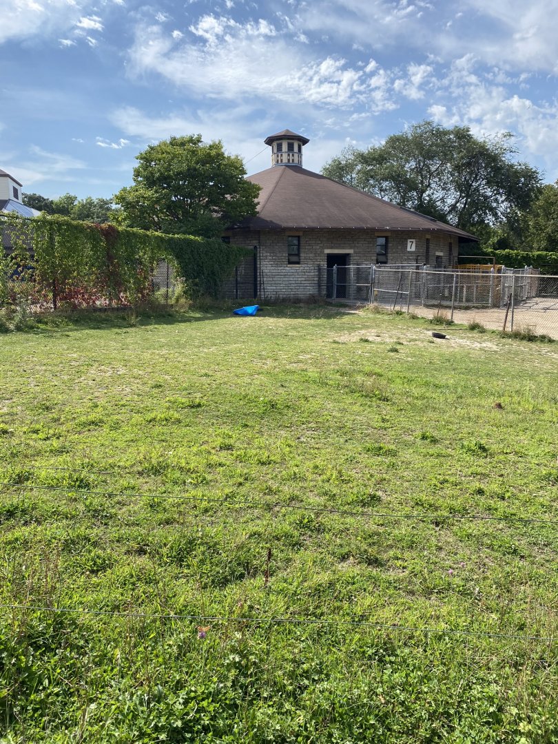 Old hoofstock- empty exhibit