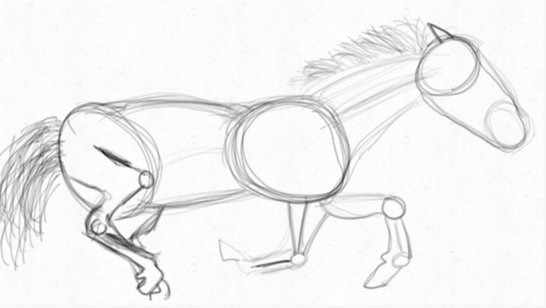 Old horse galloping sketch