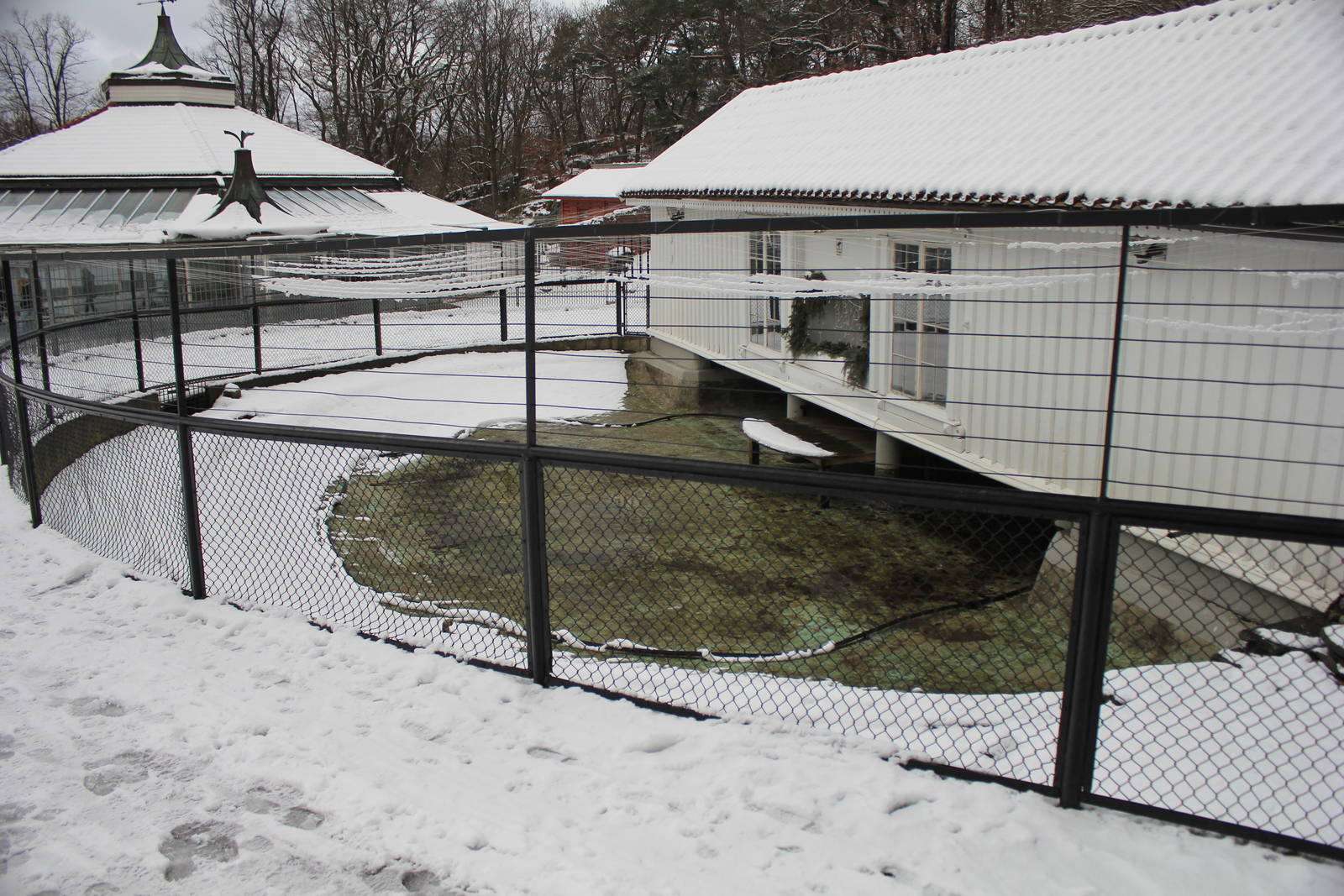 Old Humboldt Penguin?s exhibit