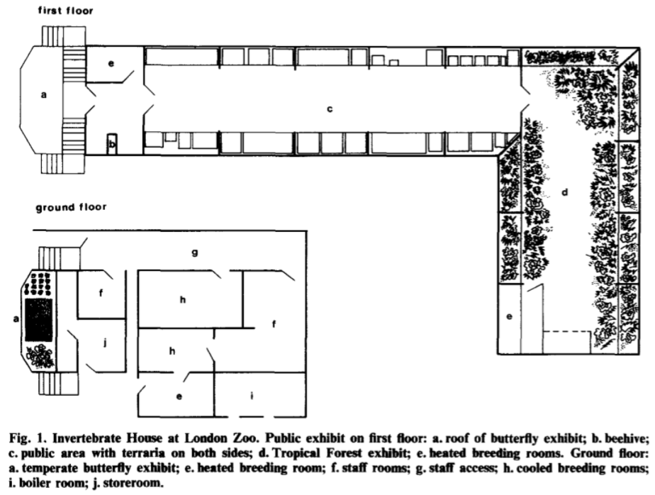 Old Insect House Map