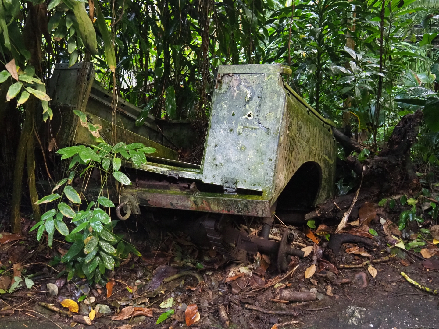 Old jeep rusting away in the Bush (Sep 16th, 2018)