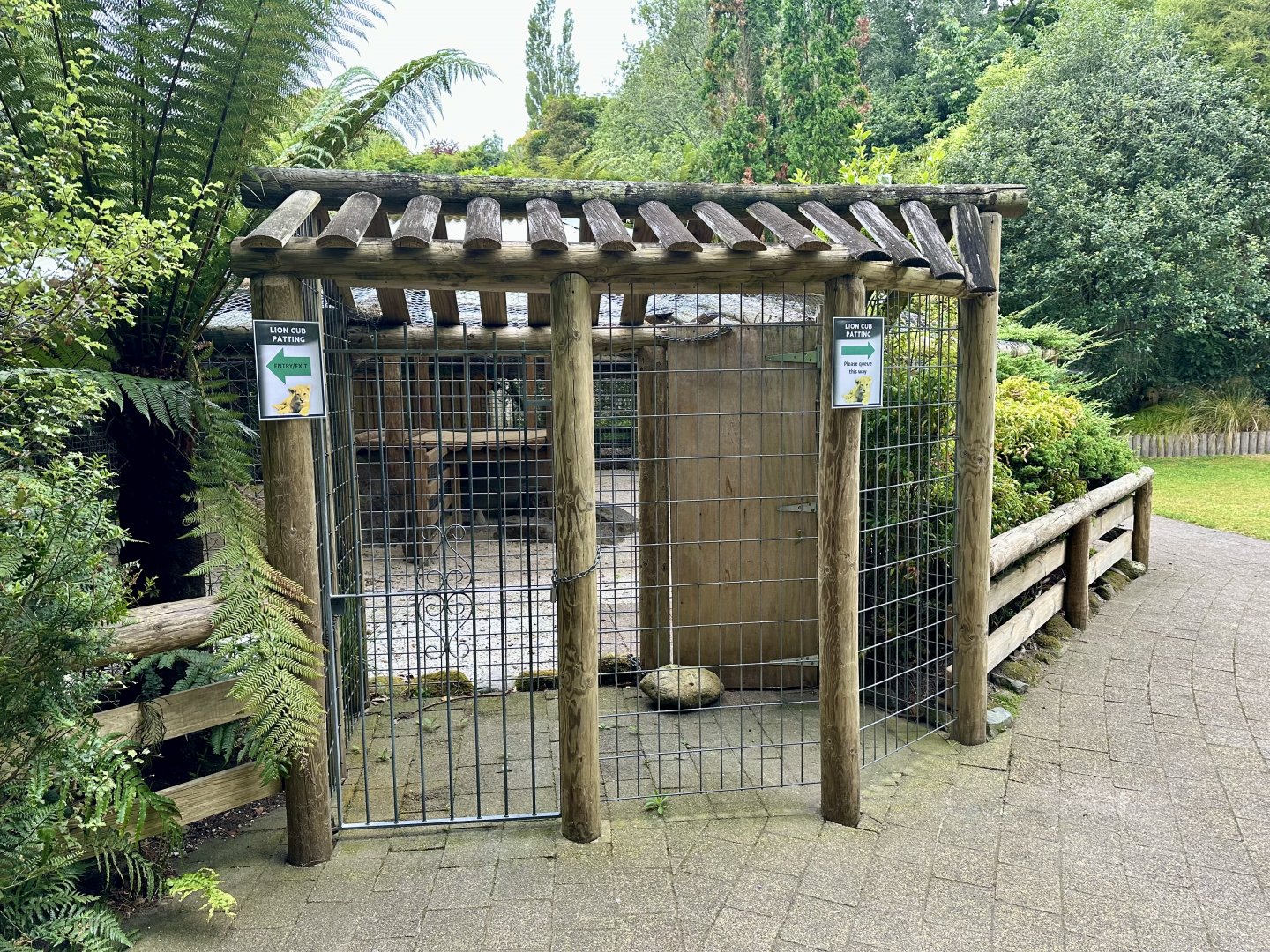 Old Lion Cub Nursery