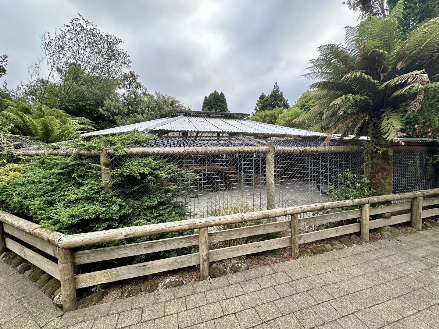 Old Lion Cub Nursery