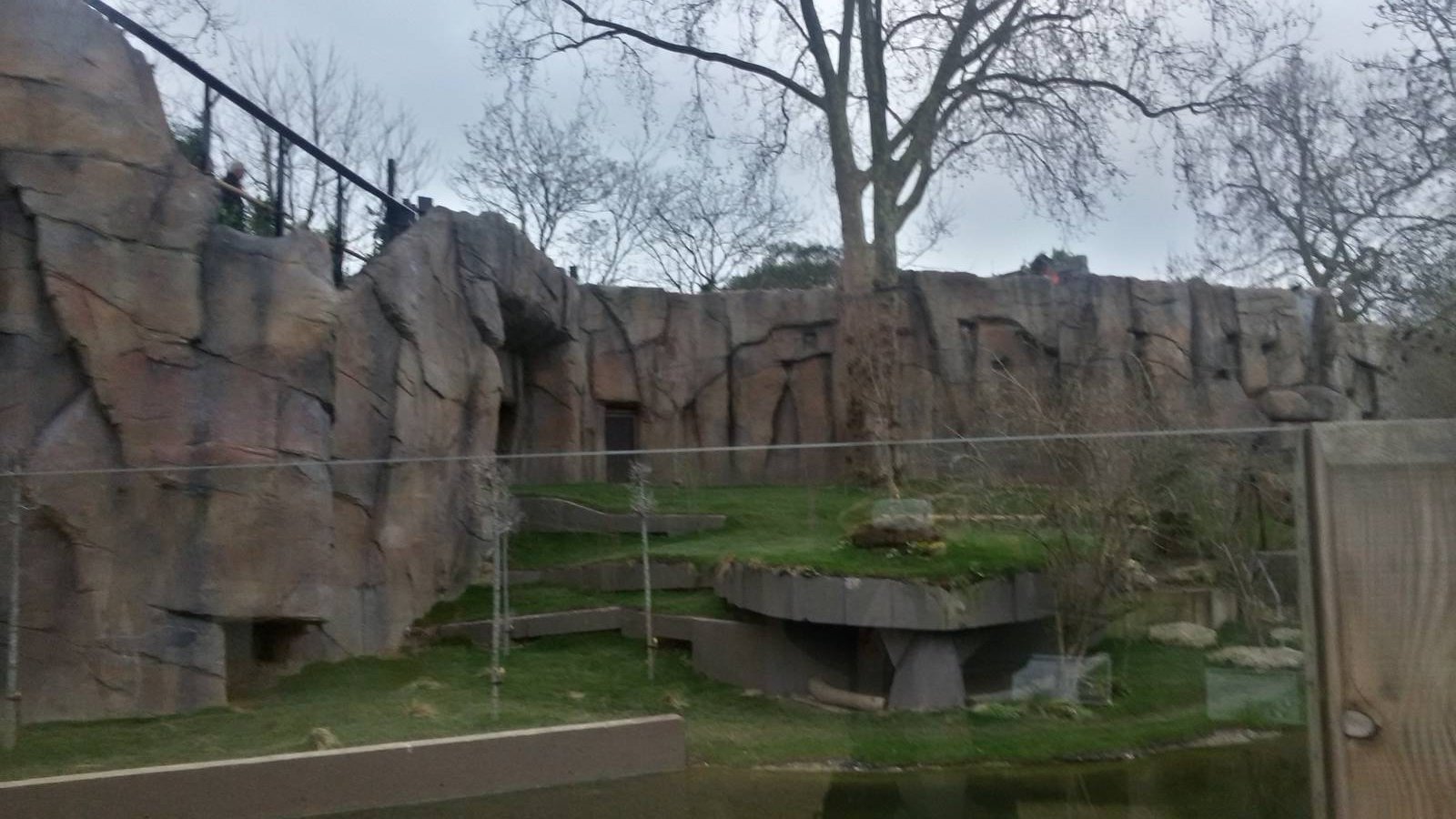 Old lion enclosure