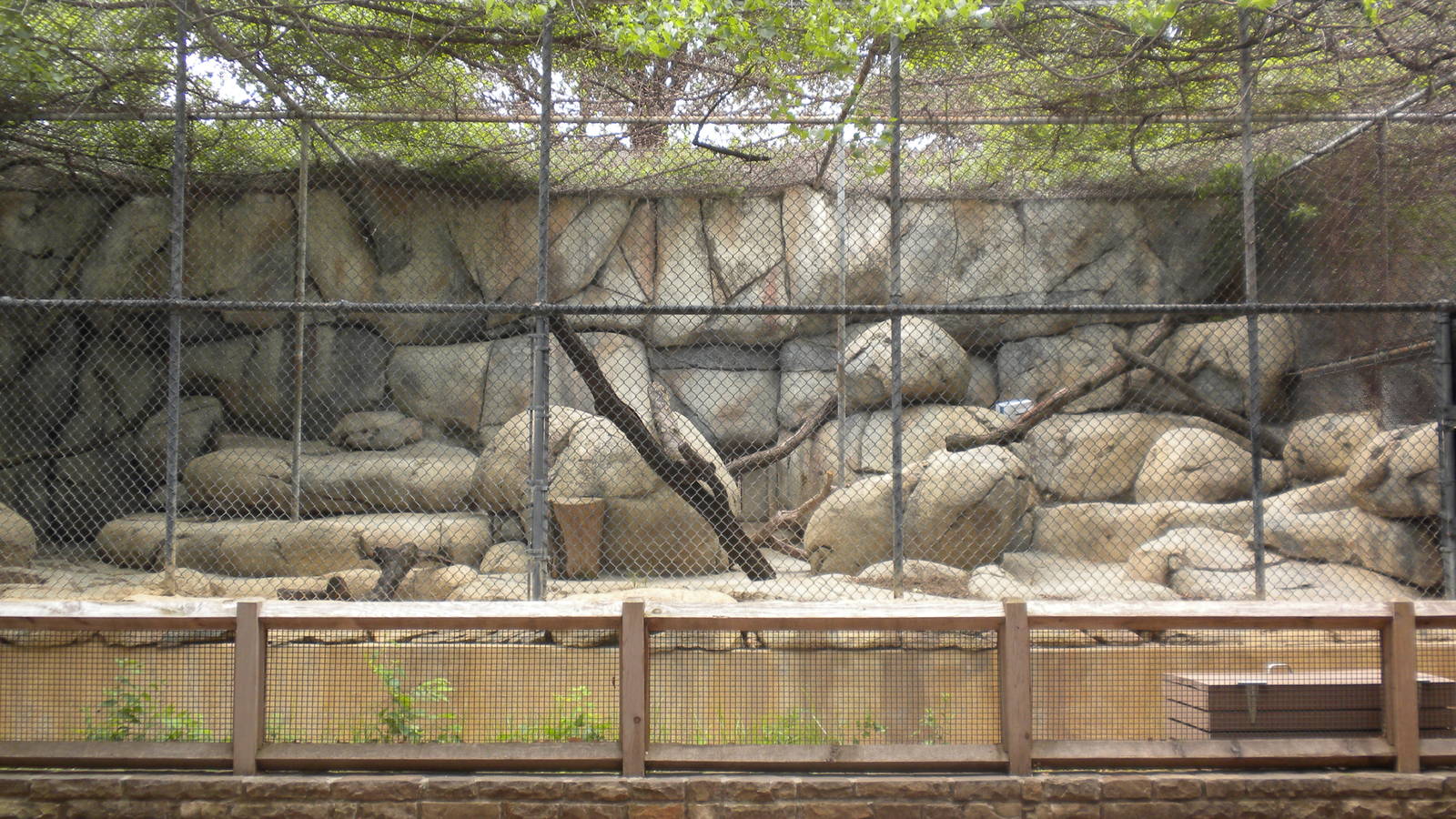 Old Lion exhibit (now ocelot)
