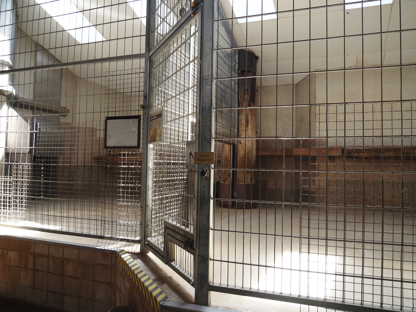 Old lion indoor exhibit, 2024-06-08