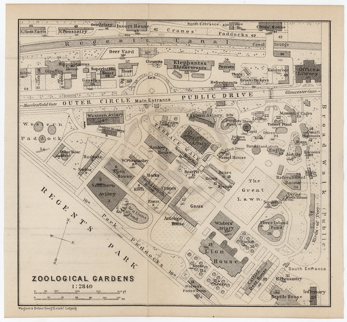 old map of london zoo