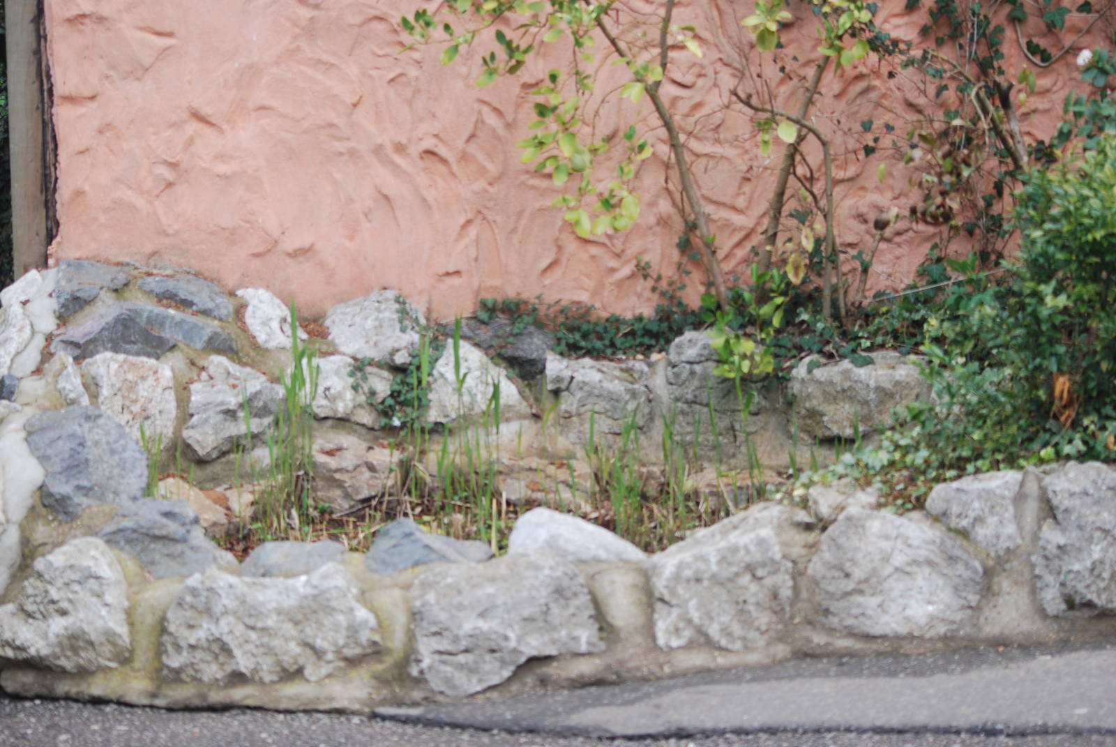 Old marsh mongoose pond