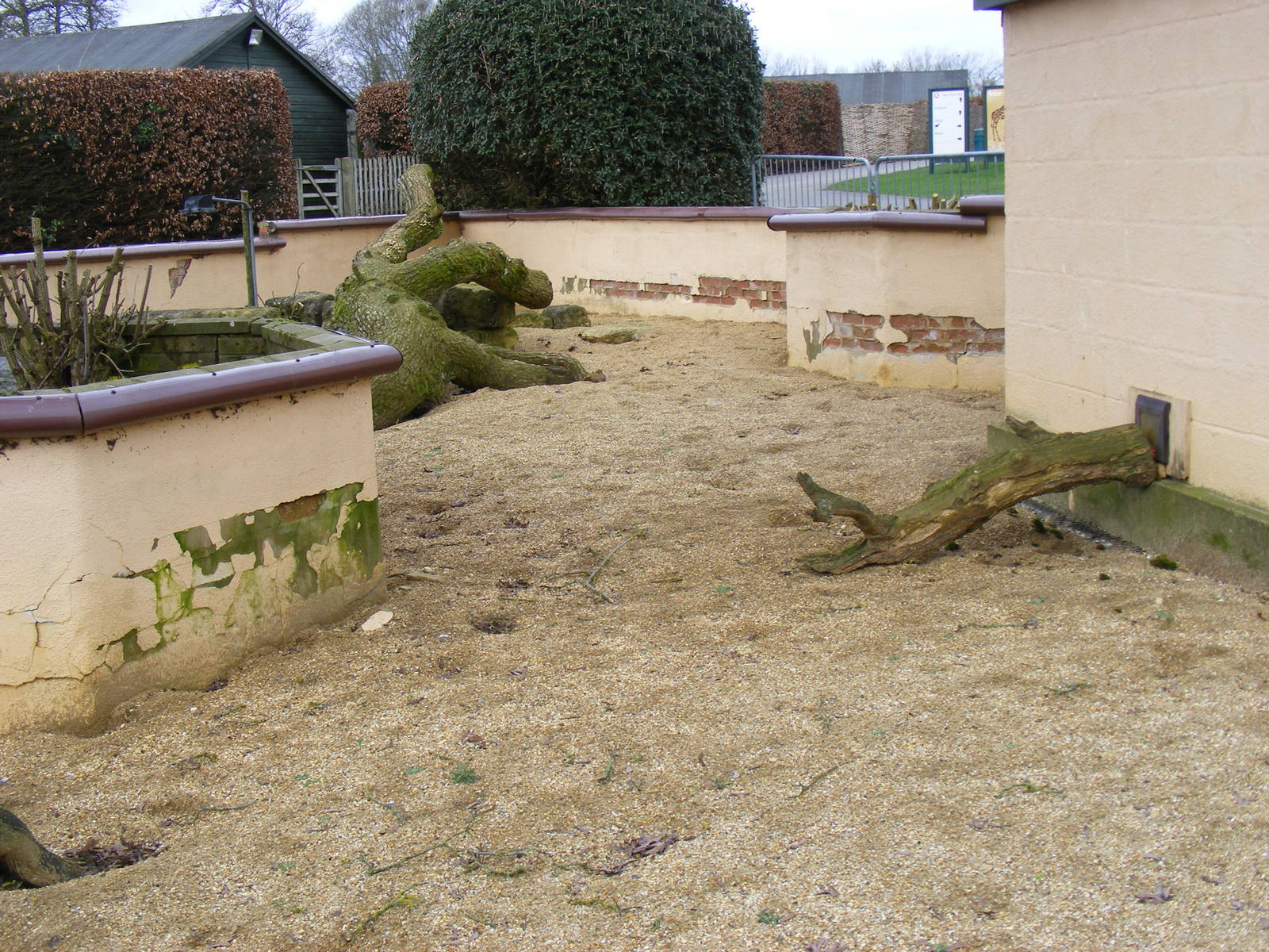 Old meerkat enclosure at Marwell Wildlife, 27 February 2011