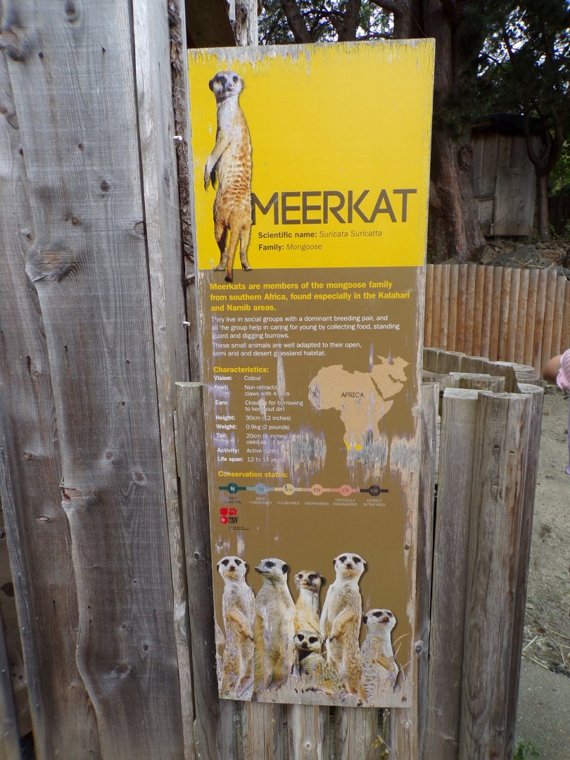Old meerkat signage 14.8.23