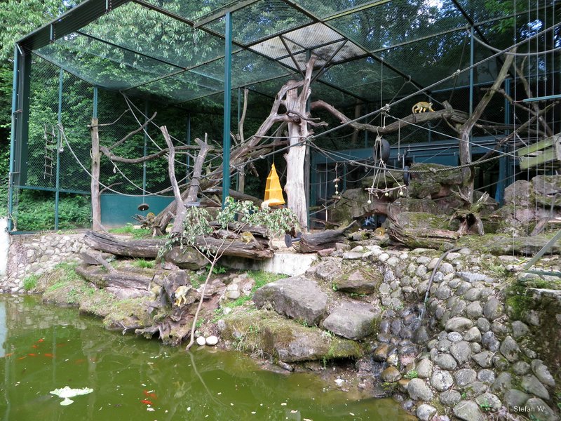 Old monkey cage (2014)