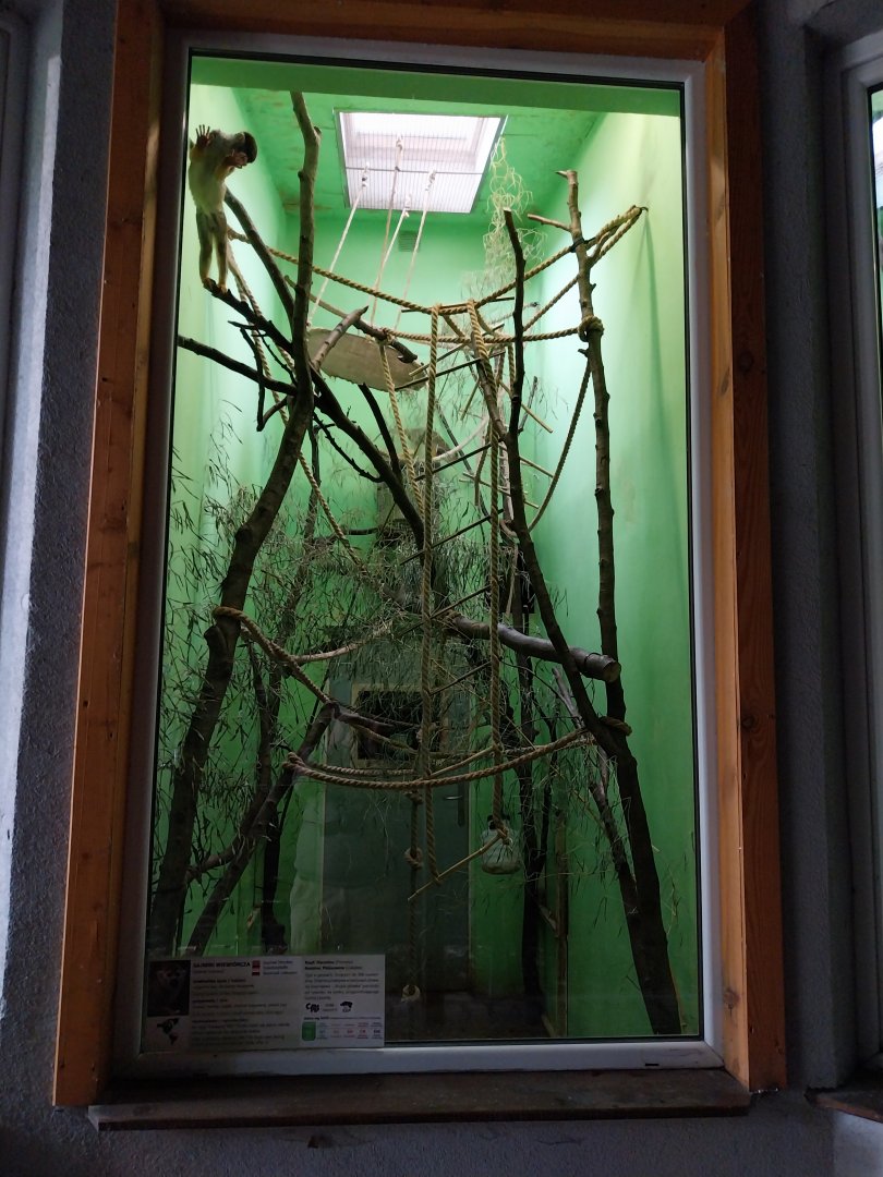 Old Monkey House - Common Squirrel Monkey (Saimiri sciureus) enclosure