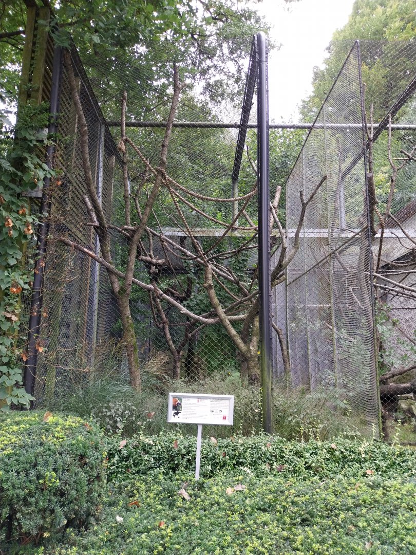 Old Monkey House - Red Ruffed Lemur enclosure