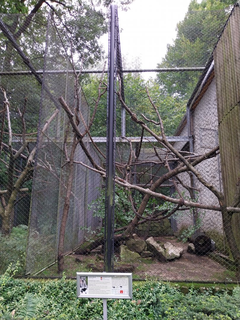 Old Monkey House - Ring-tailed Lemur enclosure