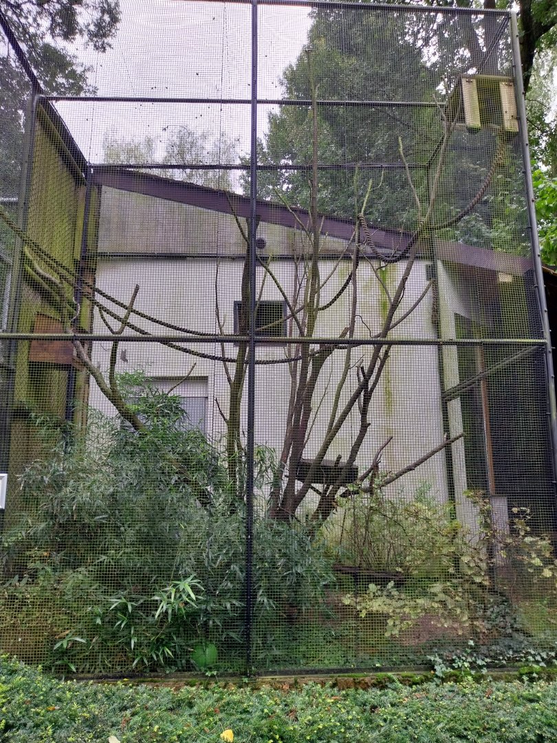 Old Monkey House - Ring-tailed Lemur enclosure