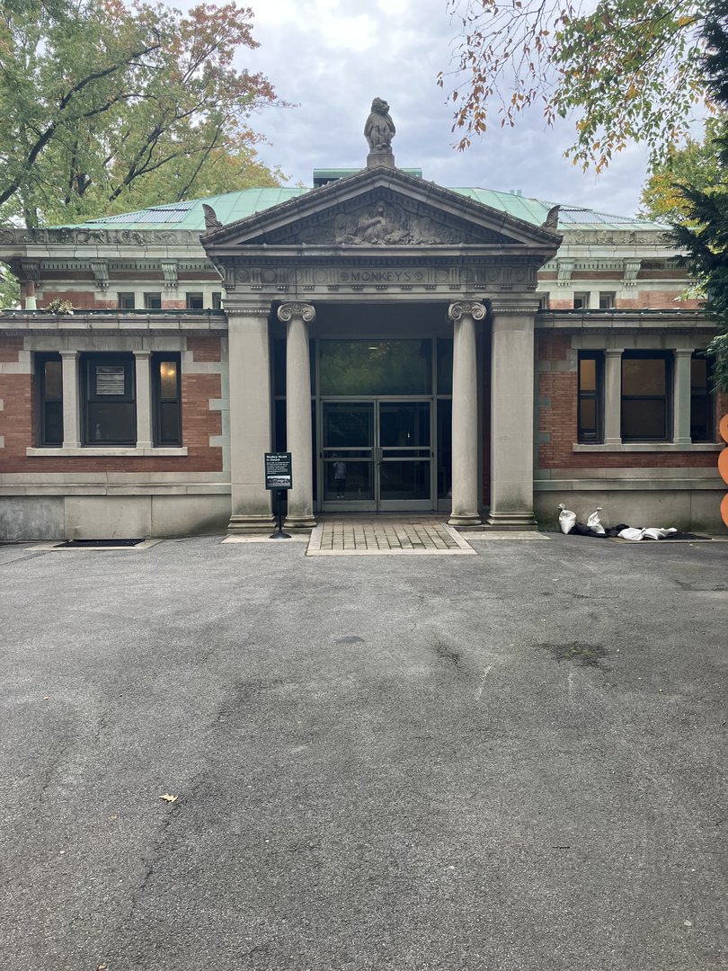 Old Monkey House