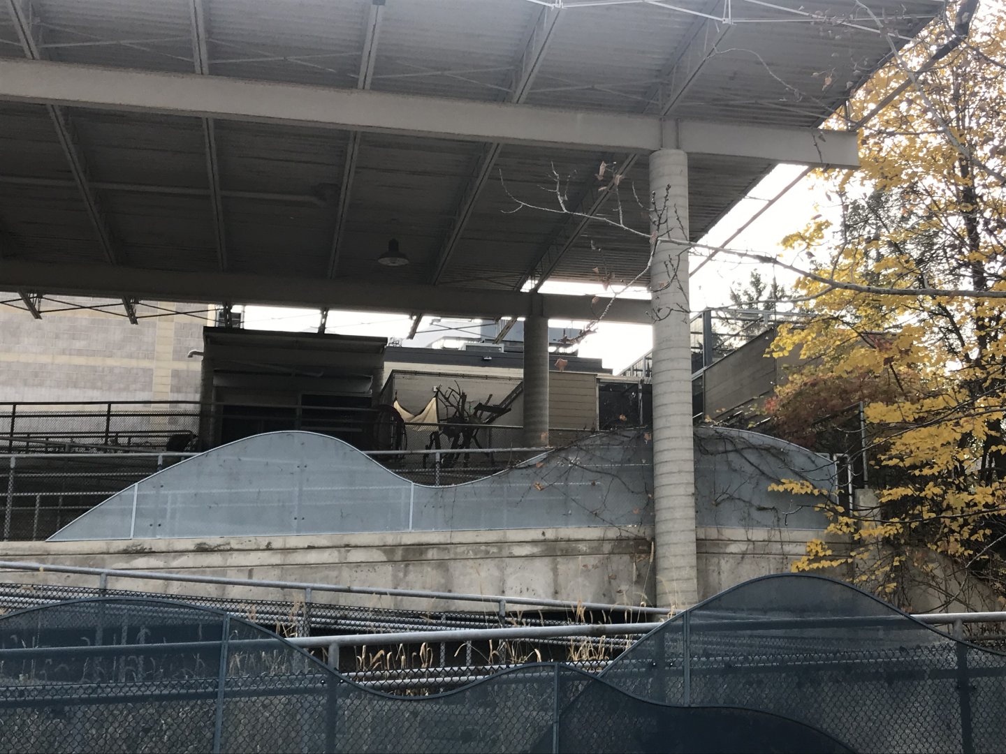 Old Monorail Station & Tamandua Exhibit.