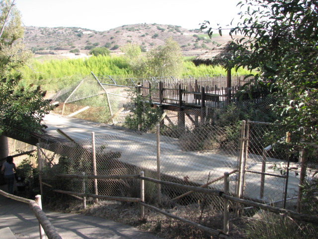 Old Monorail Tracks Near Tiger Exhibit