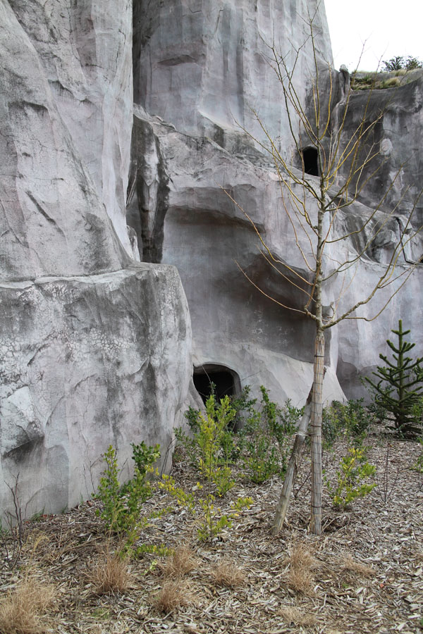 old mountain exhibits (unused)