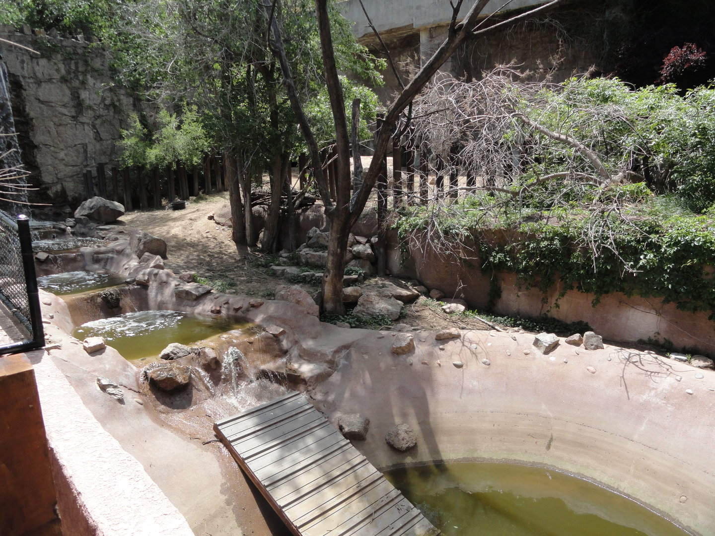 Old Mountain Tapir & Muscovy Duck Exhibit