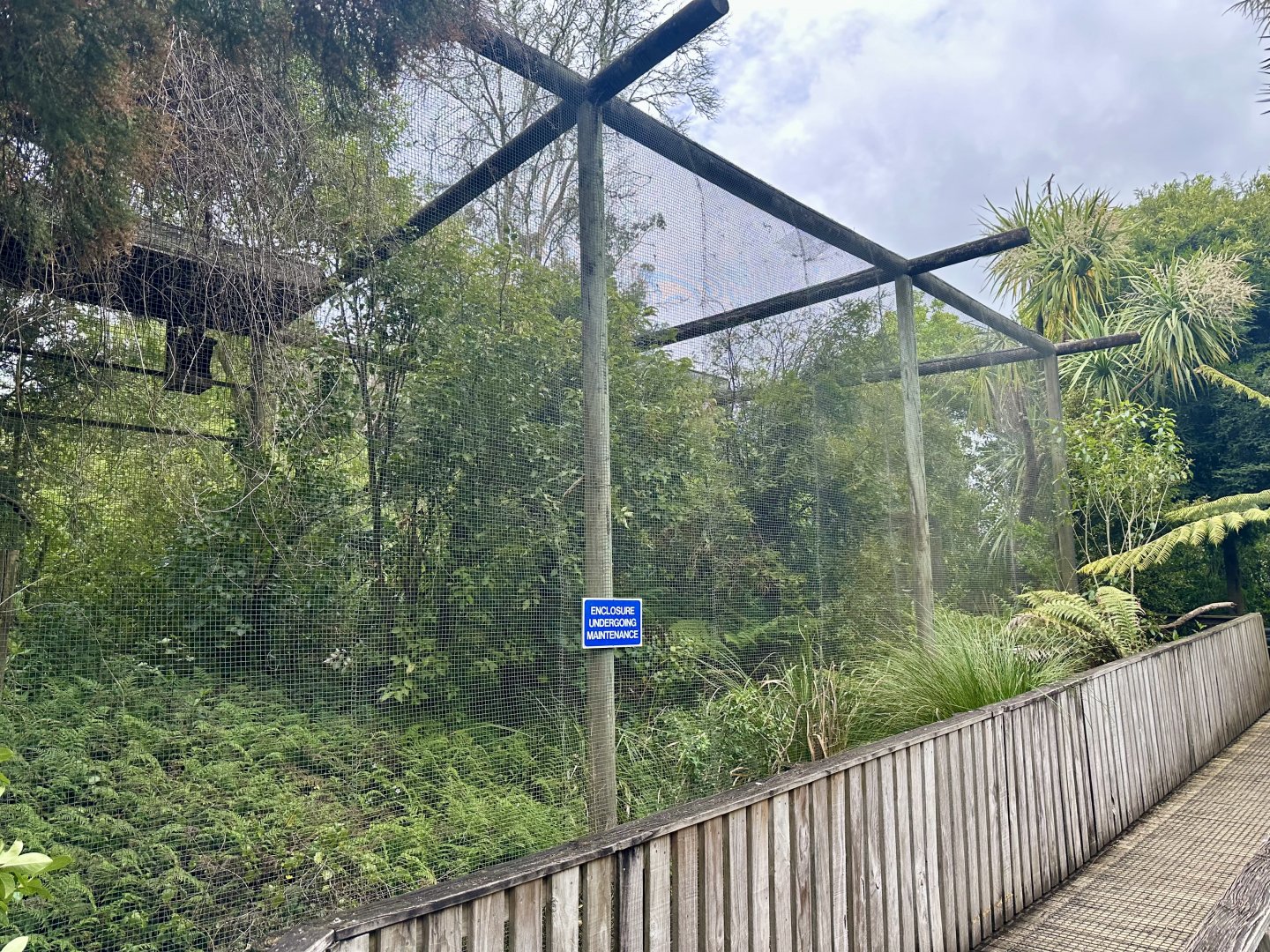 Old New Zealand Falcon Exhibit