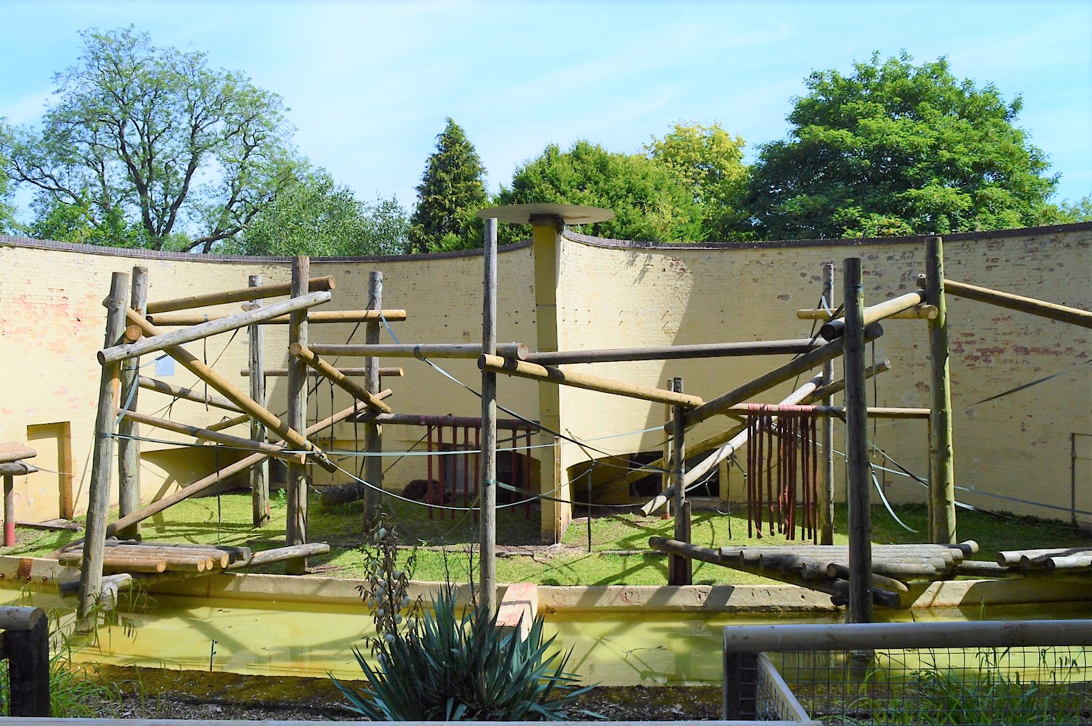 Old orang outdoor enclosure.