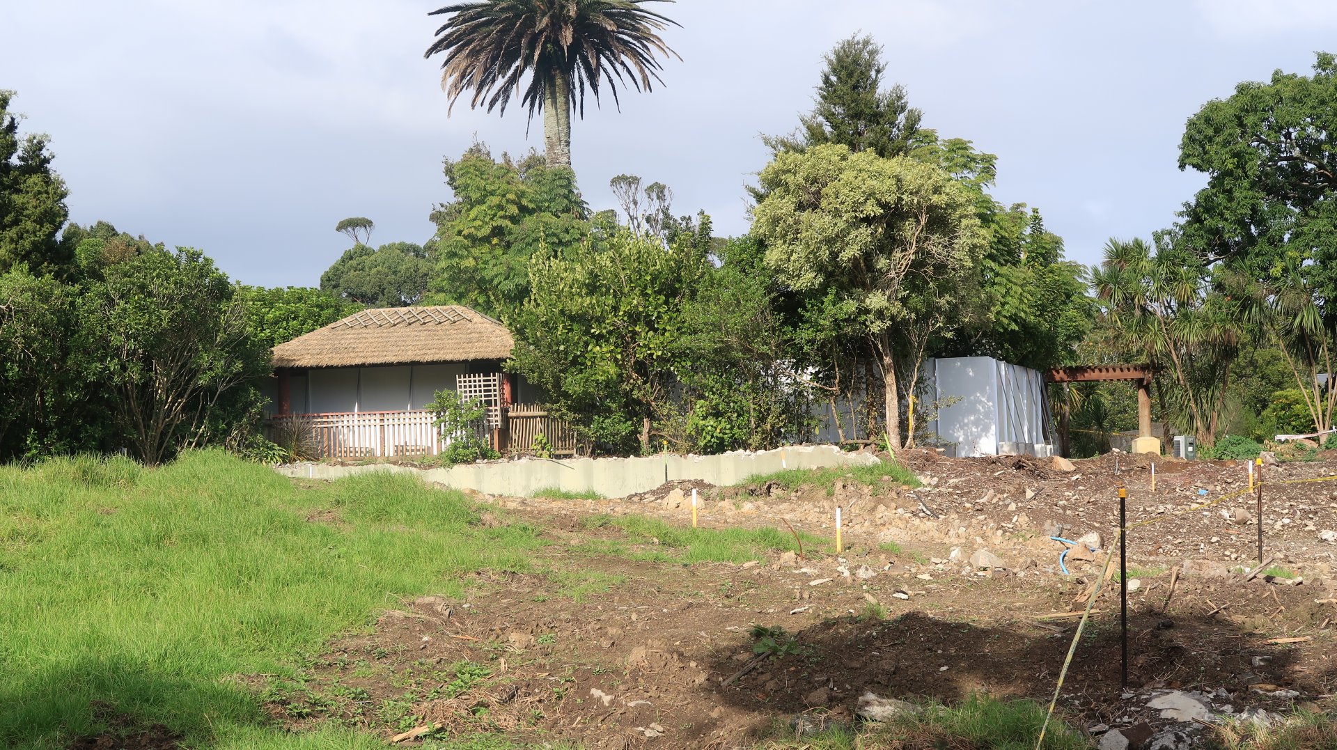 Old Orangutan Exhibit