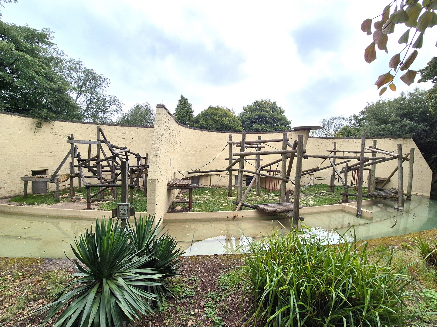 Old orangutan outdoor areas.